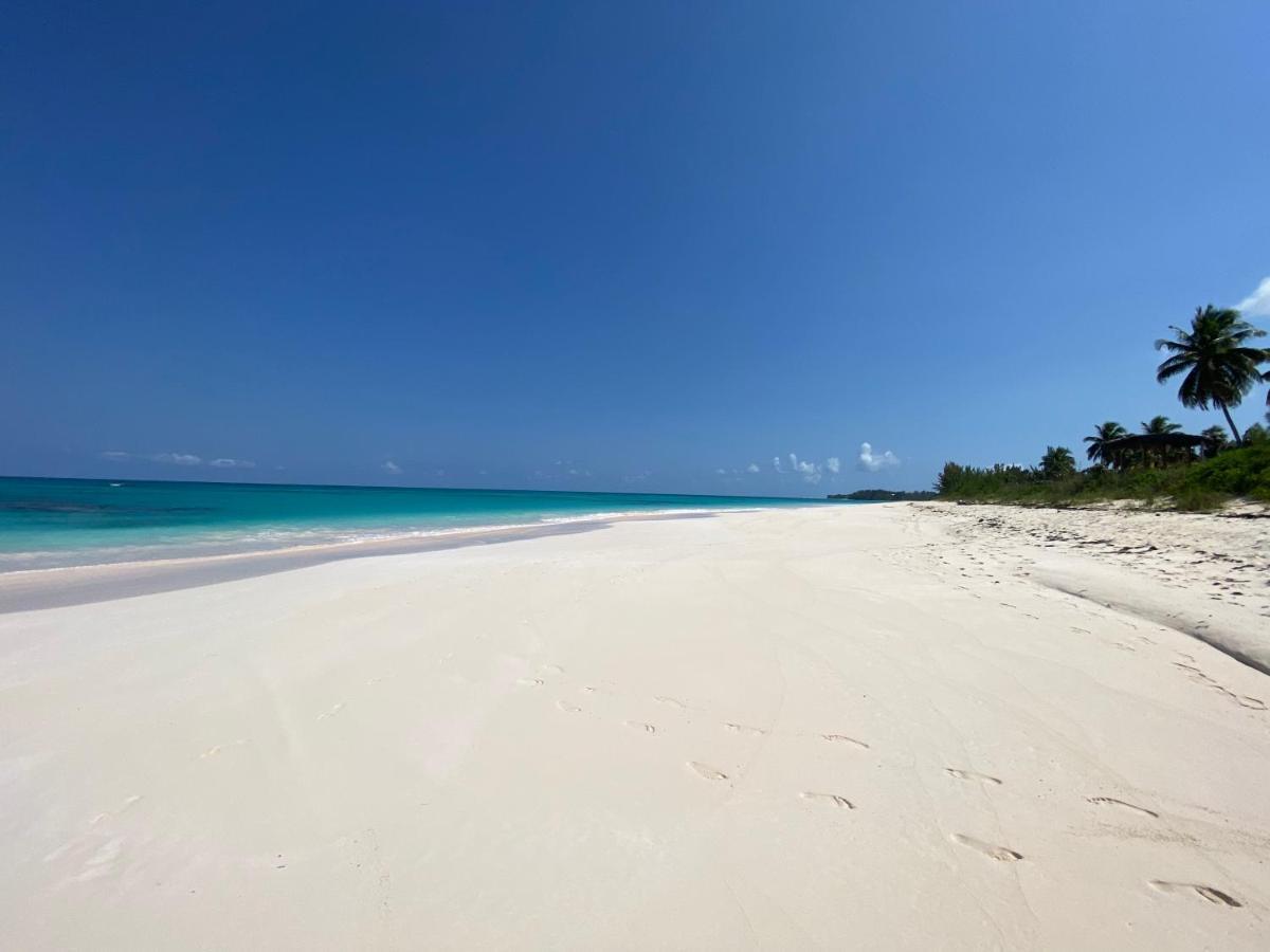 Eleuthera Retreat - Villa & Cottages On Pink Sand Beachfront Palmetto Point Exteriör bild