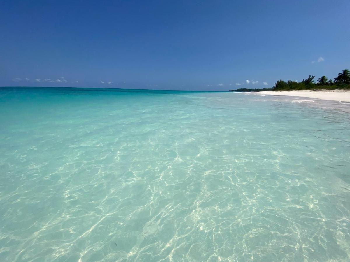 Eleuthera Retreat - Villa & Cottages On Pink Sand Beachfront Palmetto Point Exteriör bild